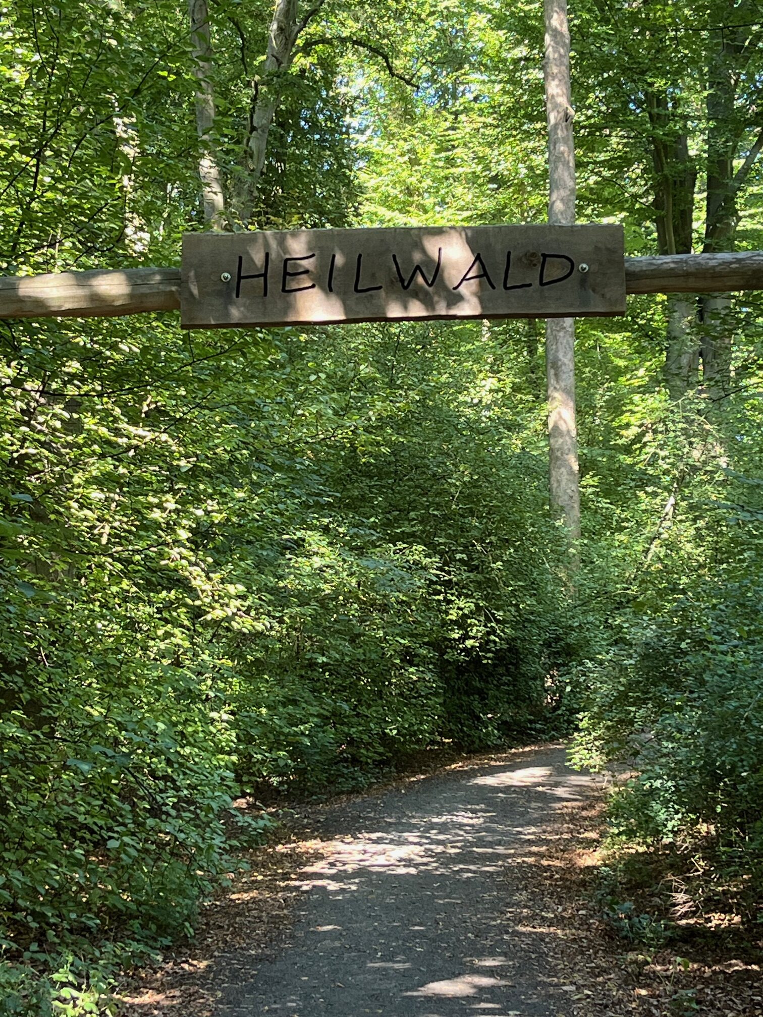 Waldbaden im Heilwald Bad Nauheim